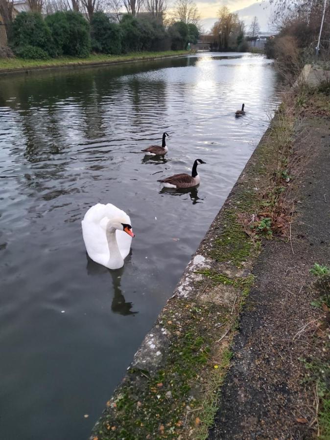 Air Conditioned Modern Double Bed Room With Private Attached Bathroom - Free Parking - Near London Heathrow Airport & Southall Broadway エクステリア 写真